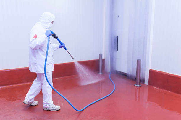 Trusted Brass Castle, NJ Pressure Washing Services Experts