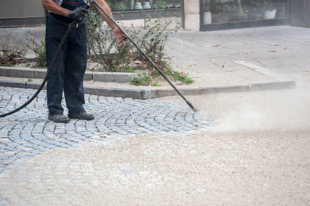 Best Driveway Pressure Washing  in Brass Castle, NJ